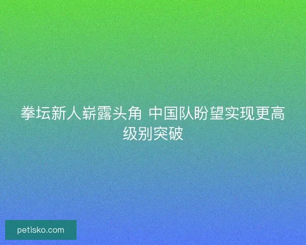 拳坛新人崭露头角 中国队盼望实现更高级别突破