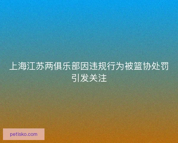 上海江苏两俱乐部因违规行为被篮协处罚引发关注